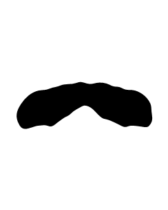 Movember Mustache