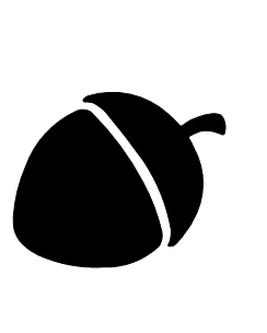 Acorn