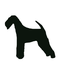 Airedale