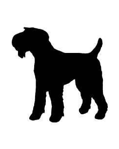 Airedale