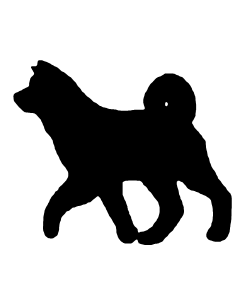 Akita