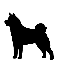 Akita