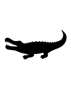Alligator