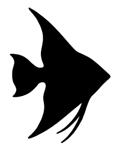Angelfish