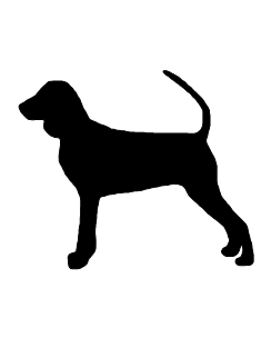 b.t coonhound