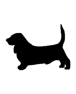Basset Hound