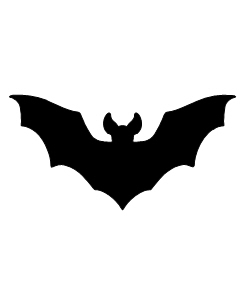 Bat