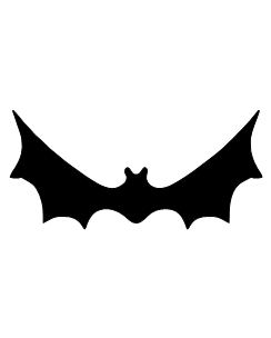 Bats