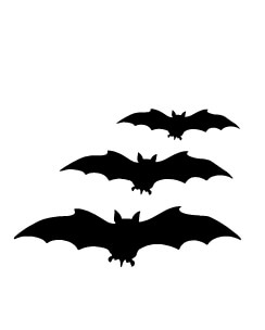 Bat