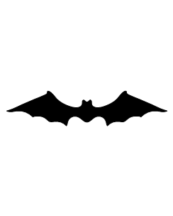 Bats