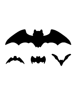 Halloween Bats