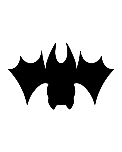 Halloween Bat