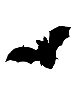 Halloween Bat