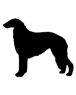 Borzoi