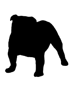 Bulldog