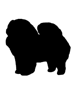 Chow Chow