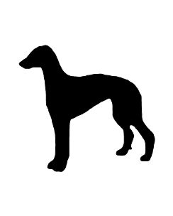 Greyhound