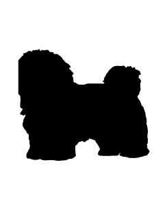 Havanese