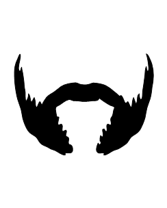 Movember Beard