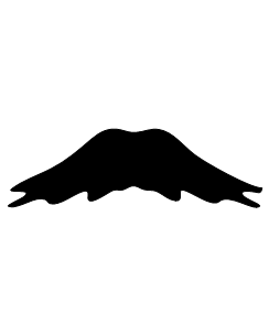 Movember - Mustache