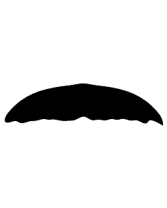 Movember - Mustache