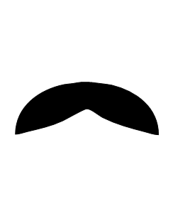 Movember mustache