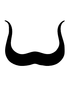 Movember Mustache