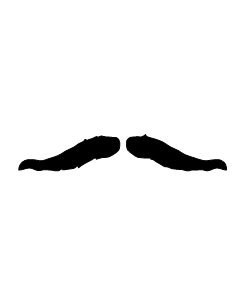 Movember Mustache