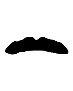 Movember Mustache