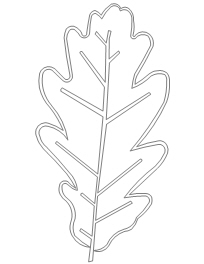 Alsspic810