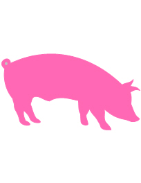 Aspic116019