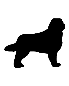 Bernese