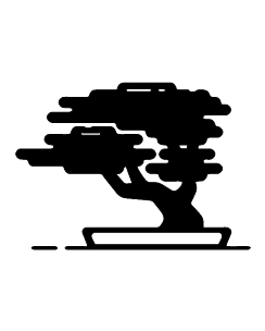 Bonzai