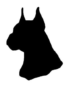 Boxer