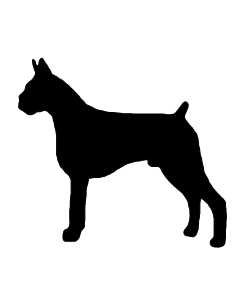 Boxer