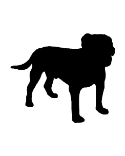 Bulldog
