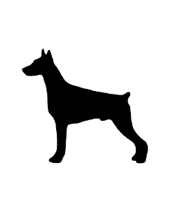 Dobberman