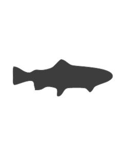 Little fish