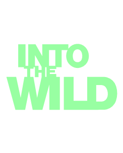 Into the wild