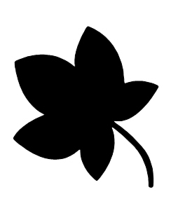 Mappe Leaf
