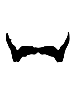 Movember Beard