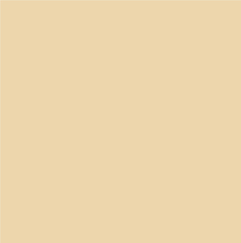 Comp-u-cut - Vinyl beige (5 ans) - 1 Rouleau (10 verges x  24&#39&#39)