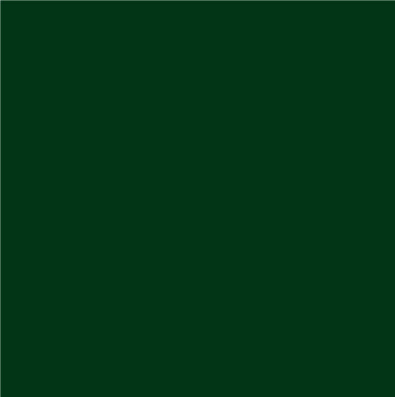 Comp-u-cut - Vinyle extérieur Forest green (5 ans) - 5 verges par 24&#39&#39