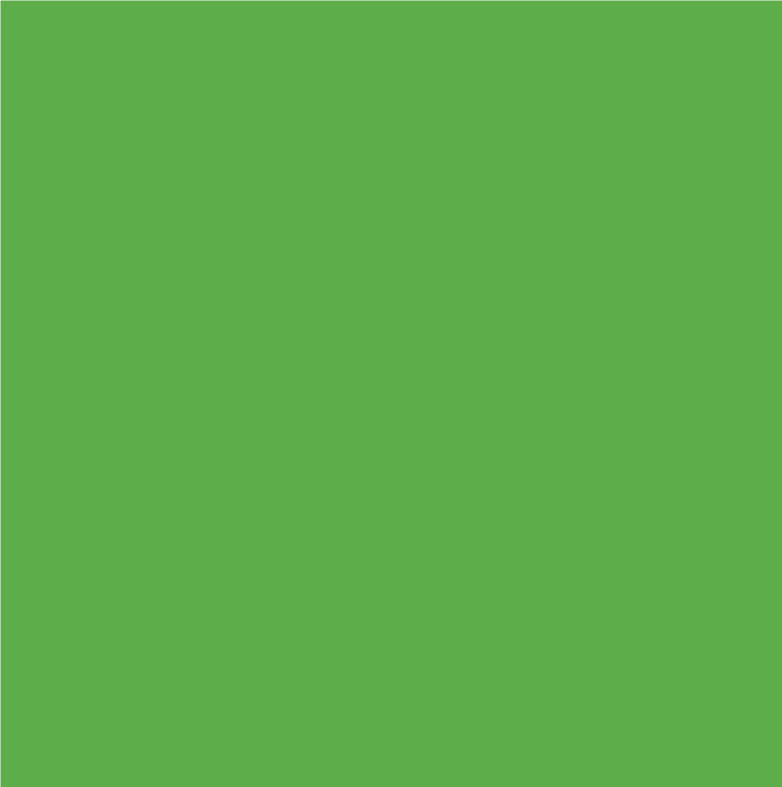 Comp-u-cut - Vinyl Vert Lime (5 ans) - 5 verges par 24&#39&#39