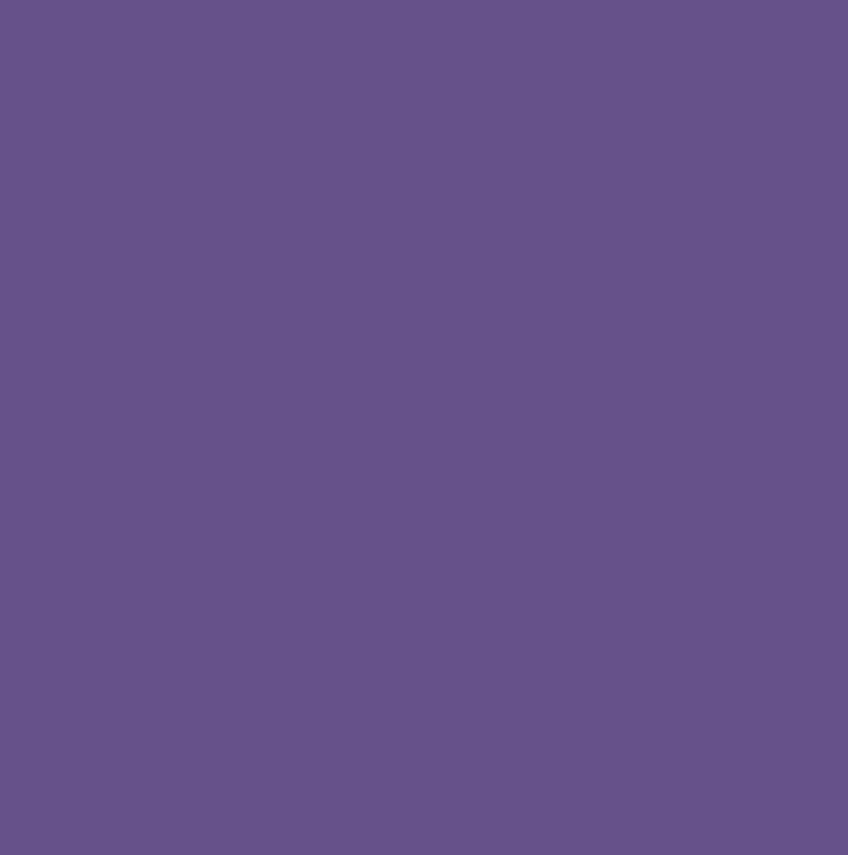 Siser EasyWEED Wicked Purple - 15 In x 1 Yd Roll