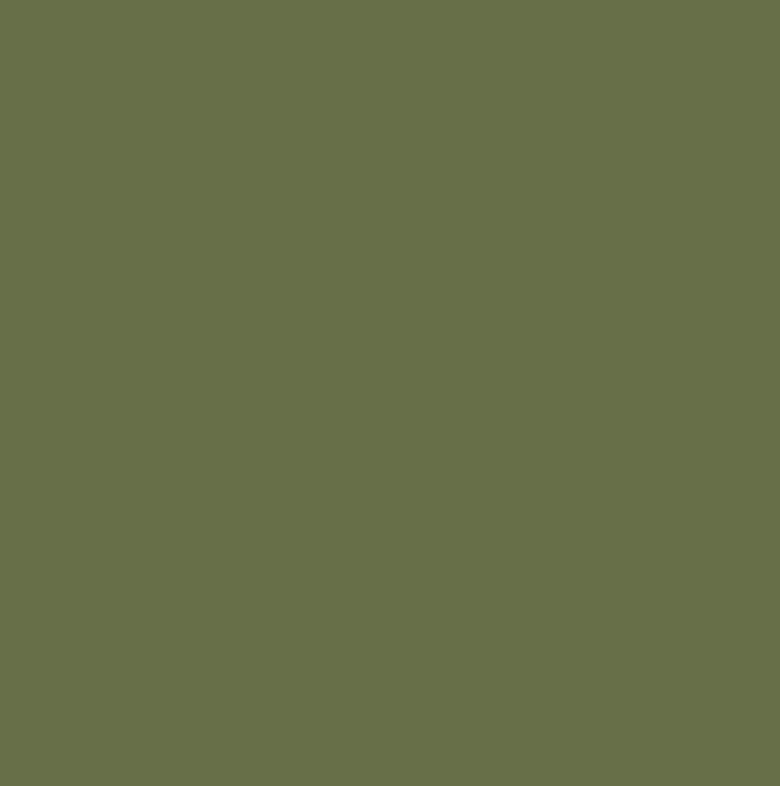 NEW! Siser EasyWEED Green Olive - 15 In x 1 Yd Roll
