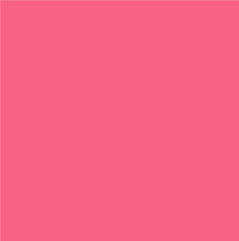 Siser EasyWEED Fuchsia Pink - 15 In x 1 Yd Roll