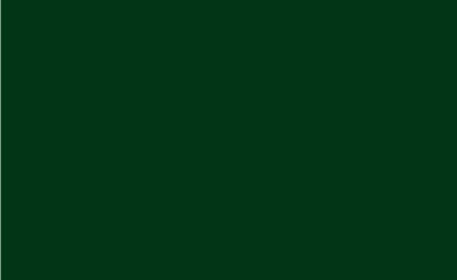 Comp-u-cut - Forest green vinyl (5 years) - 1 Roll (10 yards x  24'')