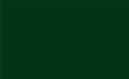 Comp-u-cut - Matte Removable Forest Green - (1 yard by 24'')