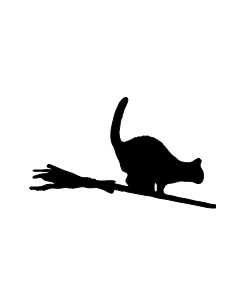 Flying cat on broom
